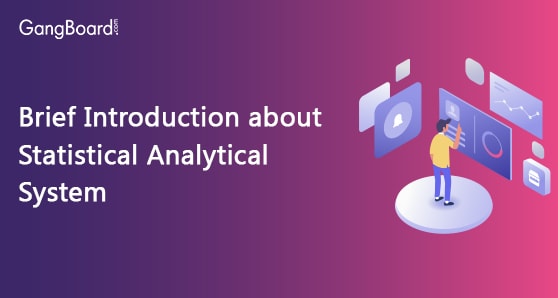 Brief Introduction about Statistical Analytical System