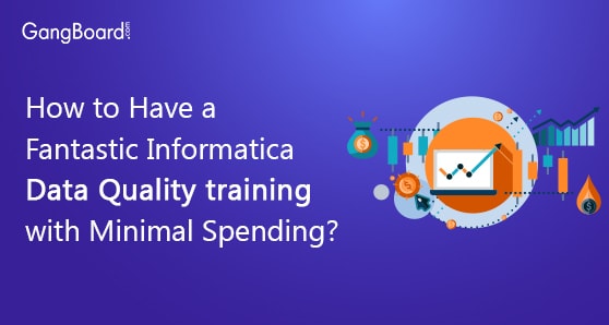 How to Have a Fantastic Informatica Data Quality training with Minimal Spending?