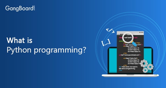 What is Python programming?