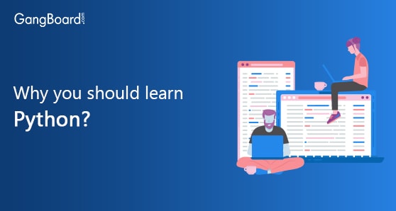 Why you should learn python? Why you should learn python?