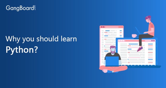 Why you should learn python?