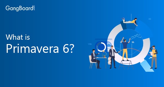 What is Primavera 6?