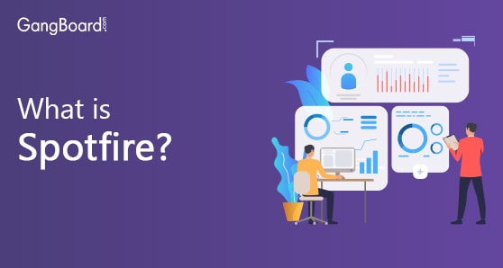 What is Spotfire? What is Spotfire?