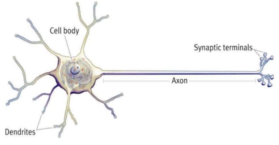 Artificial-Neural-Network