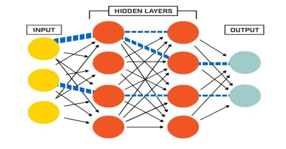 Neural Network Architecture