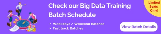 Big Data Training Batch Schedule