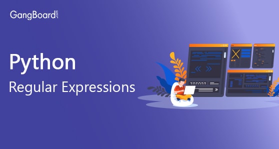 Python RegEx or Regular Expressions