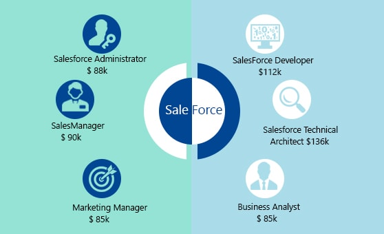 Usual wage of salesforce professionals