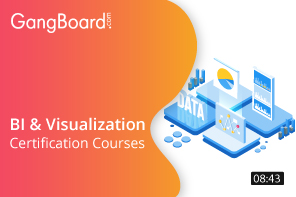 BI and Visualization Certification Courses
