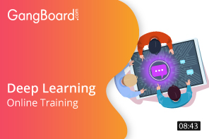 Deep Learning Online Training