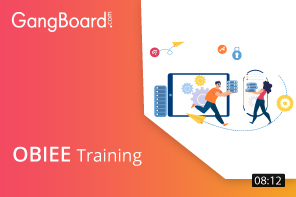 OBIEE Training