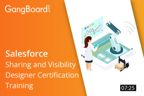 Salesforce Sharing and Visibility Designer Certification Training