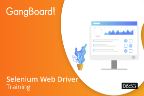 Selenium Web Driver Training