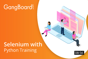 Selenium with Python Training