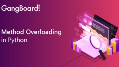 Method Overloading in Python